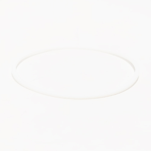 WIPER RING